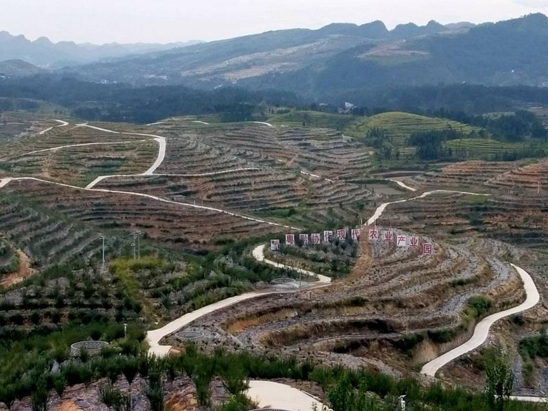 廣黔幫扶:&ldquo;招商引資,以商帶商&rdquo;,白云干部建現(xiàn)代農業(yè)產業(yè)園帶領當?shù)厝罕娭赂?></a></div>
<div   id=
