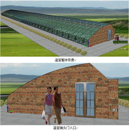 490平方米日光溫室型霧培蔬菜與芽苗菜工廠化生產(chǎn)設(shè)計方案